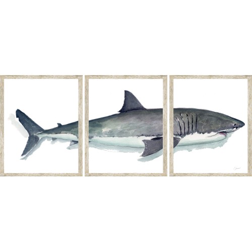 CL- GREAT WHITE TRIPTYCH